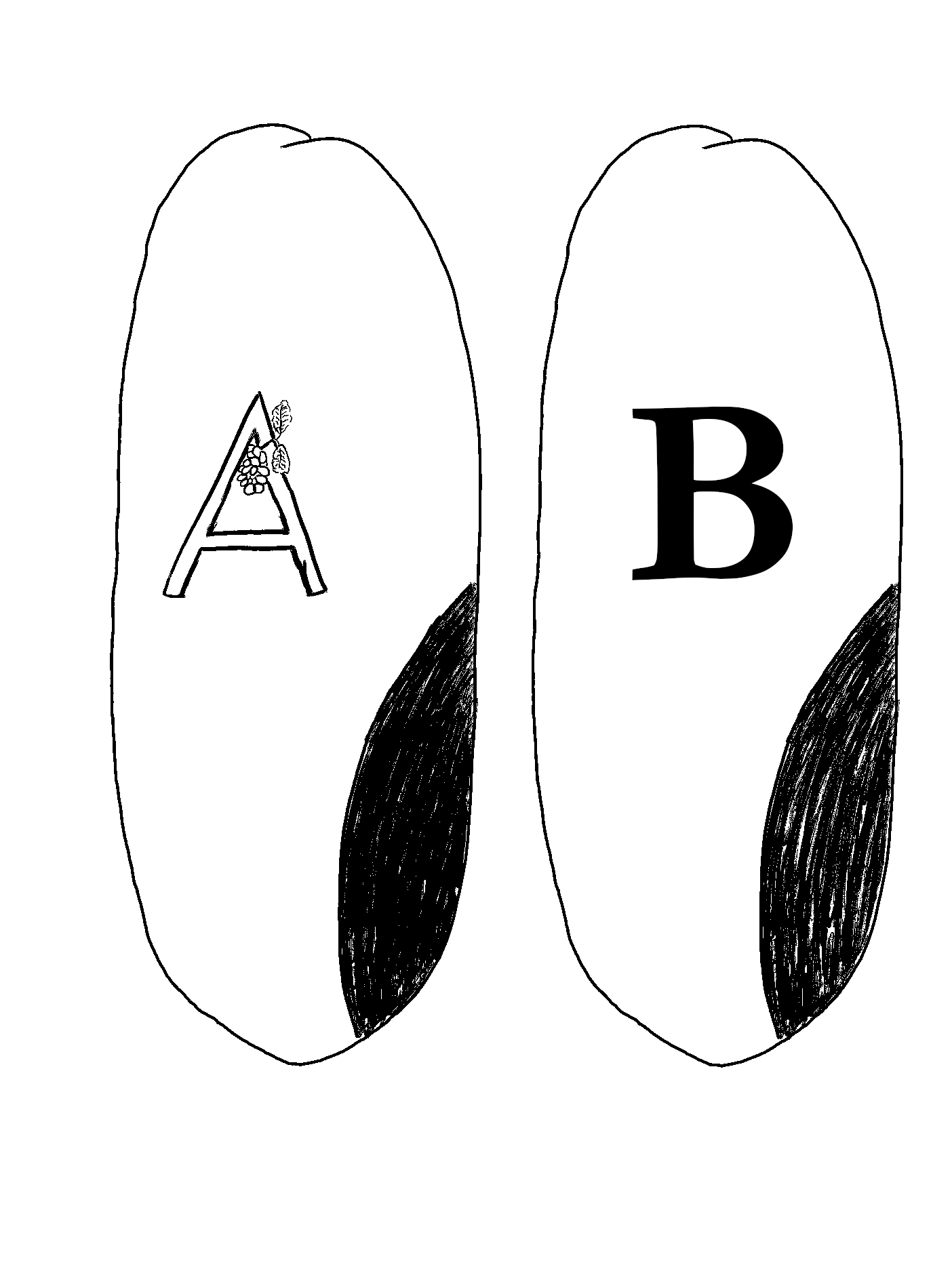 A und B - eine Skizze, zwei Augen